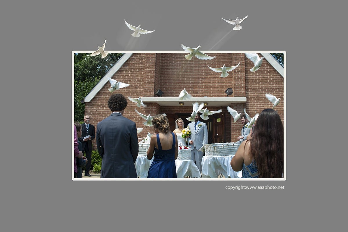 A weeding under process with the bride and groom flying pidgins